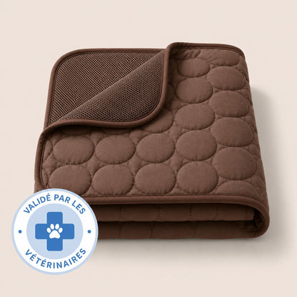 TAPIS RAFRAÎCHISSANT ARCTIC™ - 2 POUR 1