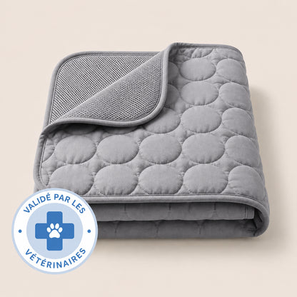 TAPIS RAFRAÎCHISSANT ARCTIC™ - 2 POUR 1