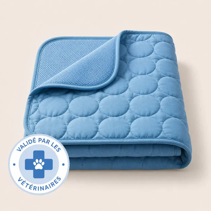 Pack Duo Tapis Arctic - 2 tapis