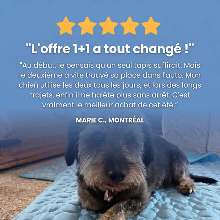 TAPIS RAFRAÎCHISSANT ARCTIC™ - 2 POUR 1