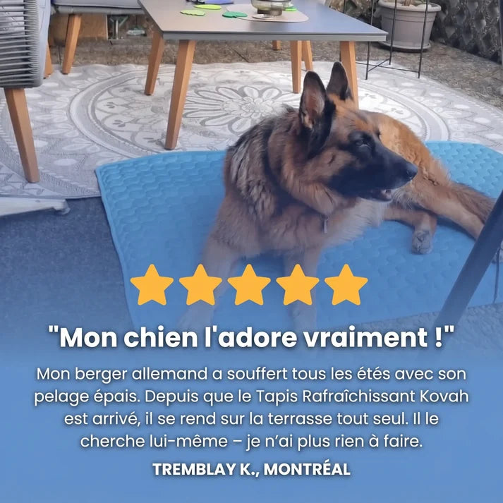 TAPIS RAFRAÎCHISSANT ARCTIC™ - 2 POUR 1