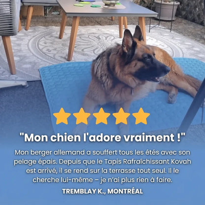 TAPIS RAFRAÎCHISSANT ARCTIC™ - 2 POUR 1