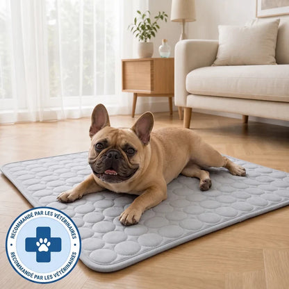 TAPIS RAFRAÎCHISSANT ARCTIC™ - 2 POUR 1