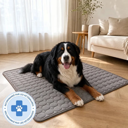 TAPIS RAFRAÎCHISSANT ARCTIC™ - 2 POUR 1
